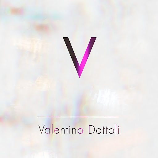 VALENTINO DATTOLI -Le Salon- MONCALIERI-TORINO logo