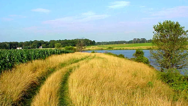 Cover photo