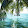 NiCki Zimmer NiCki Zimmer's profile photo