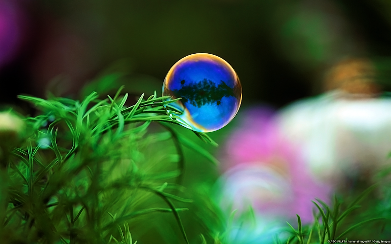 bubble on green