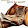 Raimond Uus Raimond Uus's profile photo