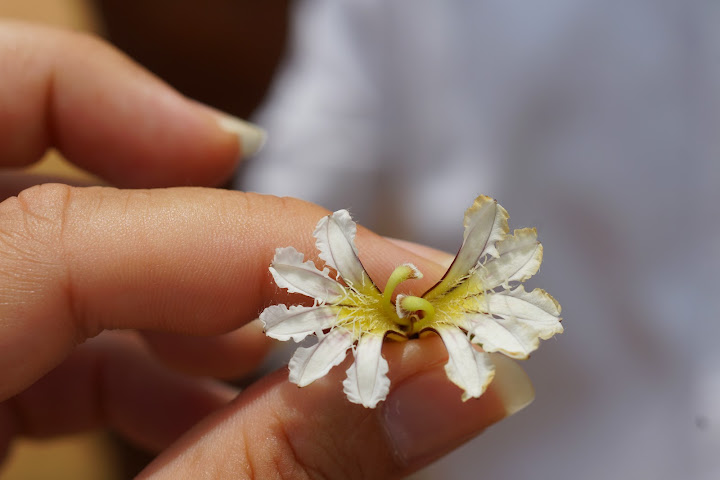 Шри-Ланка: на машине 1 100 км,  фото без комментариев, март-апрель 2013г.