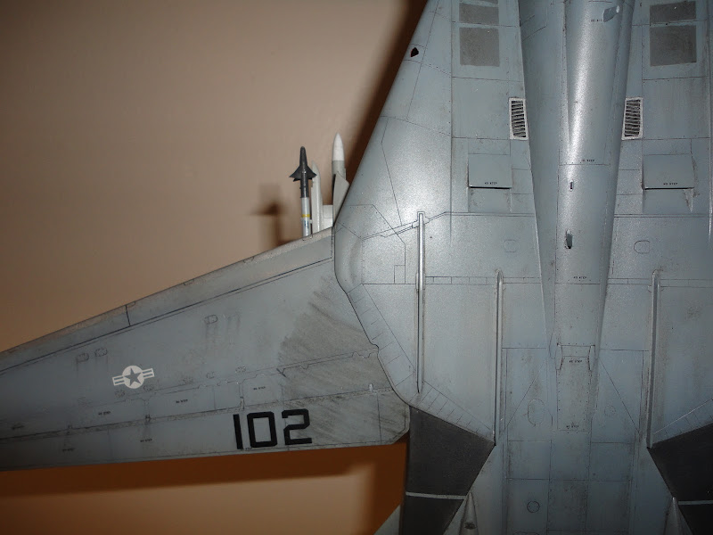 Hasegawa 1/48 F-14A+ of VF-74 (PT12) DSC00847