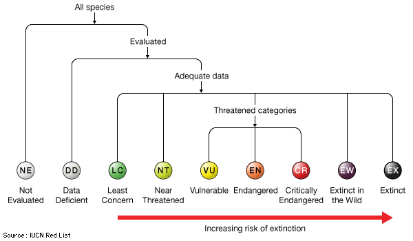 Explained: IUCN Red List & CITES Agreement