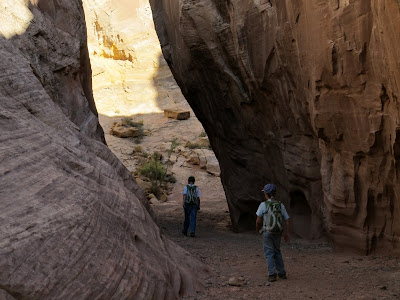 Little Wild Horse Canyon