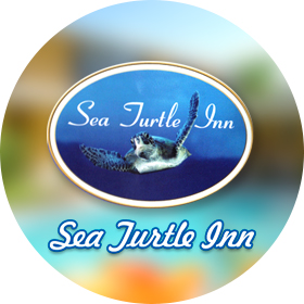 Sea Turtle Inn logo