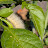 Adam Gordon avatar image