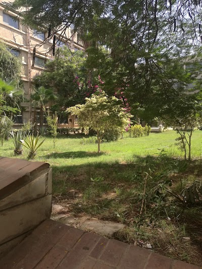 Photos of Faculty of Science Mansoura University