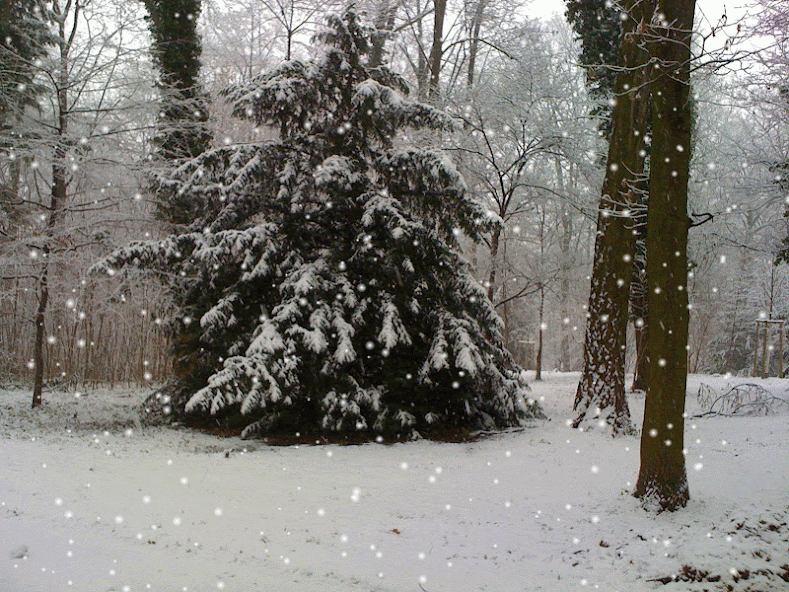 Frohe und besinnliche Weihnachten IMG_0034-SNOW