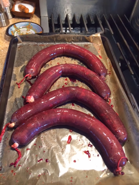 Freshly made Blood Sausage (Sanguinaccio).  Courtesy of Dr. K.