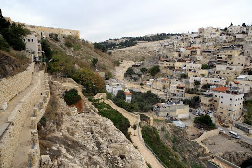 Photos from Arab Jerusalem (a very special waves) صور من القدس العربية ( خاص جدا أمواج ) IMG_8107