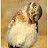 Brian Gillock avatar image