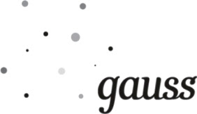 Компания Gauss