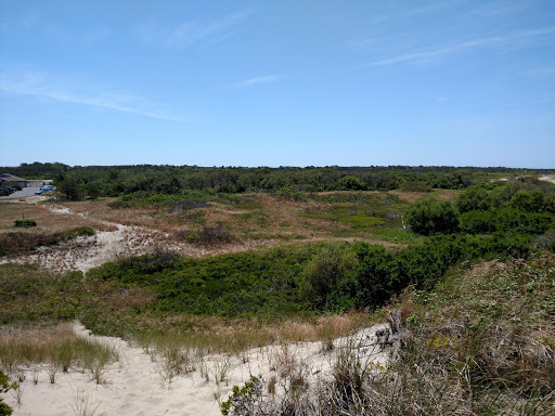 Race Point Beach