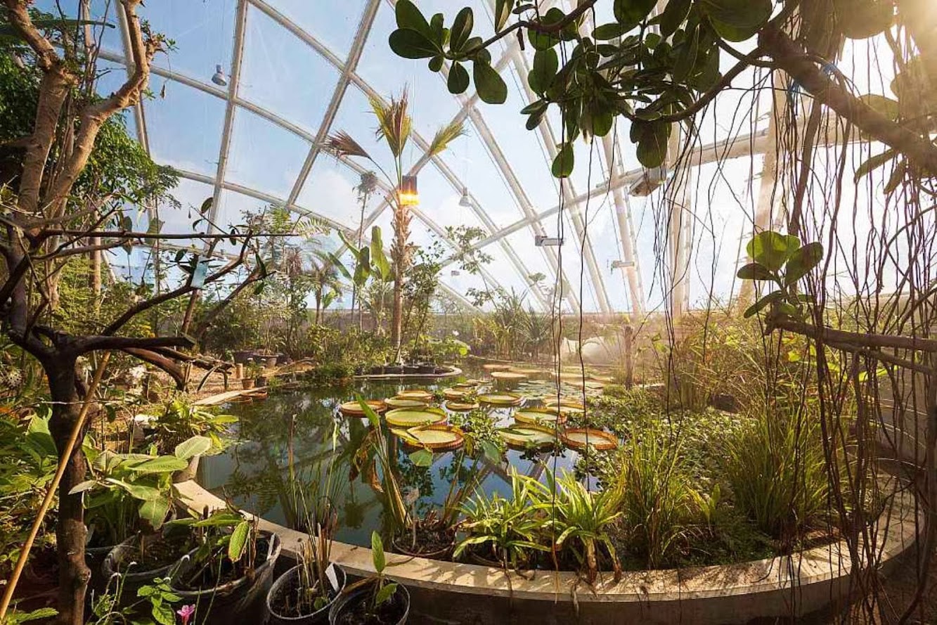 10-Greenhouse-in-the-Botanic-Garden-by-C.F.-Møller-Architects