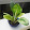 Stefano Idroponico Stefano Idroponico's profile photo