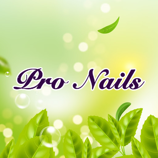 Pro Nails logo