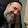Scott Welsh Scott Welsh's profile photo