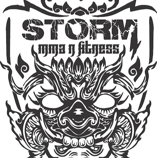 Storm MMA & Fitness logo