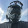 russell anderson russell anderson's profile photo