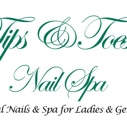TIPS AND TOES NAIL SPA ?28901 US 19 N Clearwater FL 33761 logo