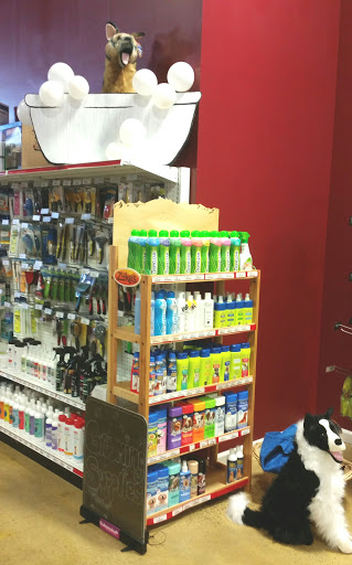 Pet Supply Store «One of the Family Pet Supply LLC», reviews and photos, 288 Lincoln Blvd, Middlesex, NJ 08846, USA