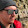 Alan Reeves-Fortney Alan Reeves-Fortney's profile photo