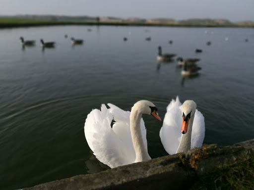 Crosby Beach