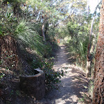track west of Breakfast Point Lookout (183063)