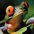 Jeff Bennion avatar image
