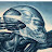 Paul N avatar image