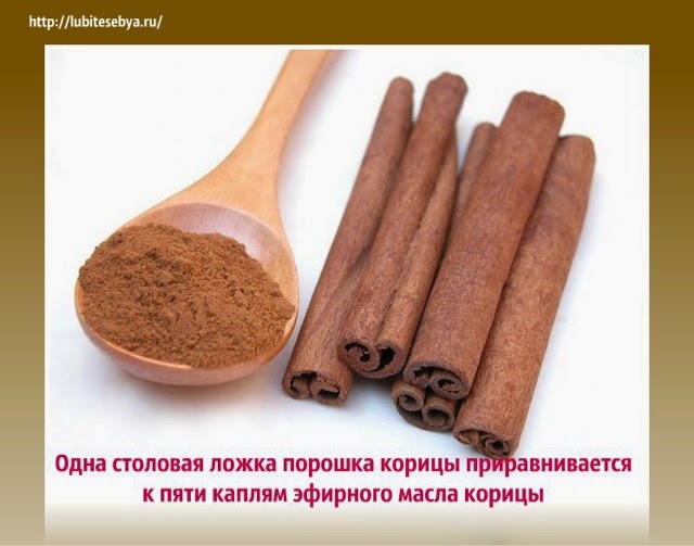 Какой творог лучше для похудения