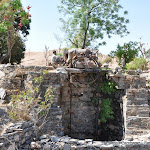 Moulin à eau, entre Ranakpur et Narlai, Rajasthan