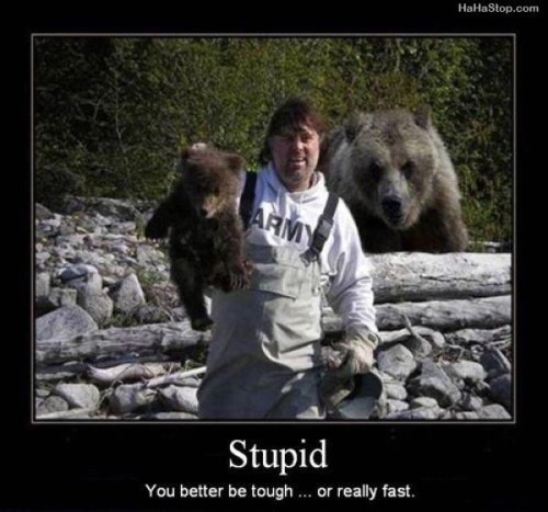 photo of a guy holding a bear cub and the mother bear is behind him
