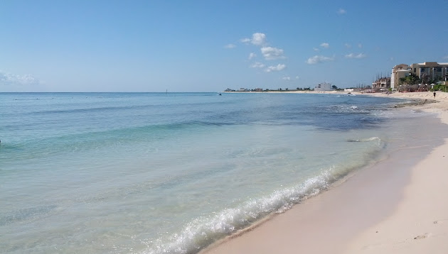 Cover photo