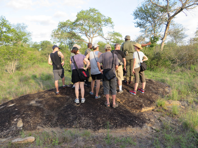 namiddag wandeling - vanaf Skukuza rest-camp, Kruger Park - Zuid Afrika