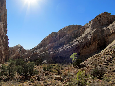 Below the bouldery section and finally on relatively level ground