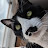 Rich Frangiamore avatar image