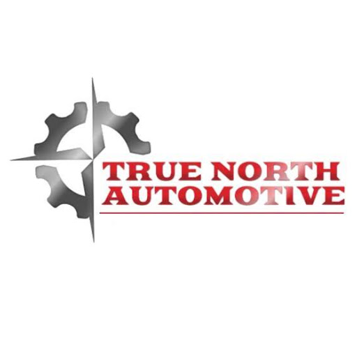 True North Automotive logo
