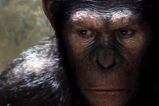 Aufstieg Planet Affen, Planet Affen 2012, Planet Affen Film, Schimpansenfilm