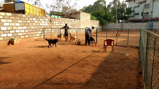 PuppyOye Dog Boarding And Dog Park, 20, Chikkathogur Main Road, Pragathi Nagar, Electronic City, Bengaluru, Karnataka 560100, India, Dog_Boarding_Kennel, state KA