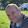 Dan Benton Dan Benton's profile photo