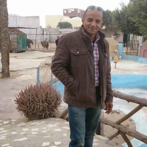 moataz AbdelWahab