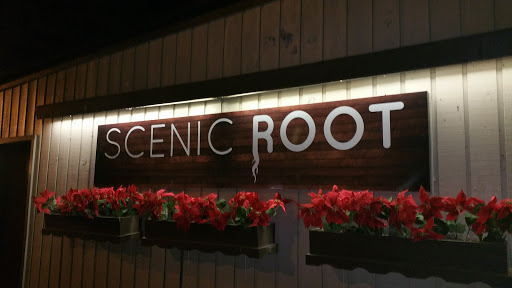 Restaurant «Scenic Root», reviews and photos, 301 Fayette St, Manlius, NY 13104, USA