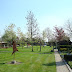 Landschappelijke tuin