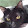 M Bunny M Bunny's profile photo