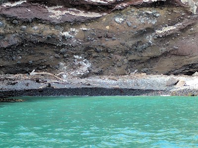 Photos of Taiaroa Head