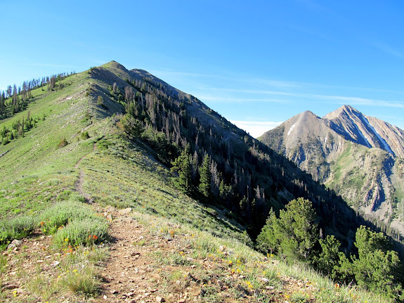 On the Nebo ridge, with North Peak on the left and Nebo on the right