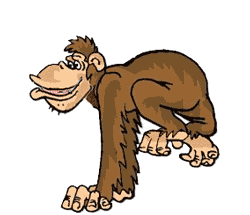 Gif de macaco Gif de macaco