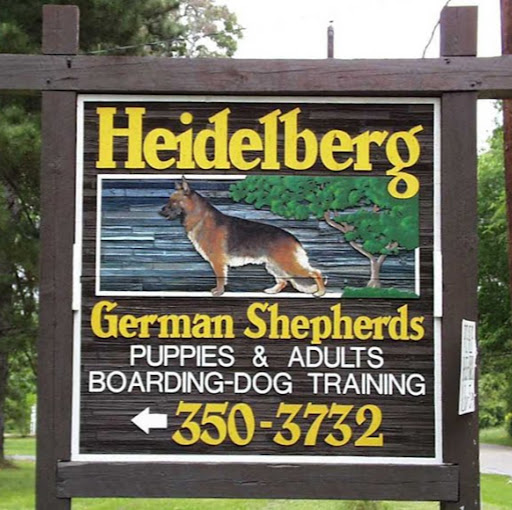 Heidelberg German Shepherd Kennel logo